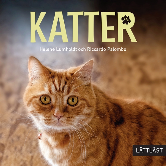 Katter (lättläst)