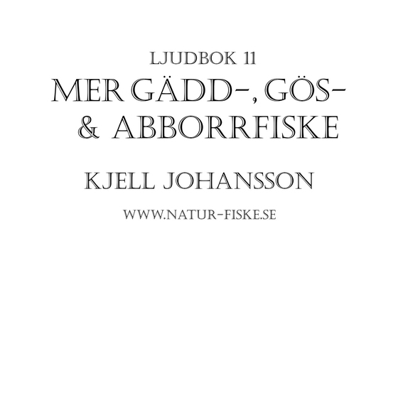 Mer Gädd, Gös och Abborrfiske