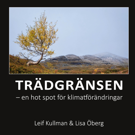 Trädgränsen: en hot spot för klimatförändringar