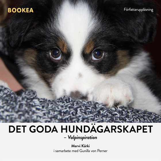 Det goda hundägarskapet: valpinspiration