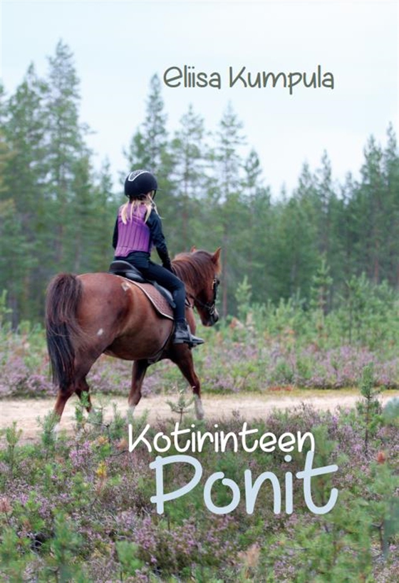 Kotirinteen ponit