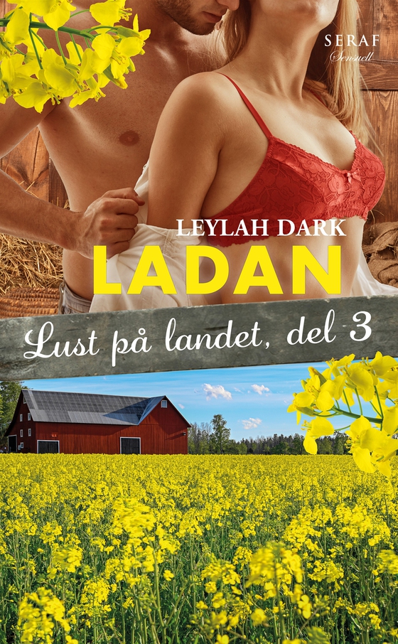 Lust på landet 3: Ladan