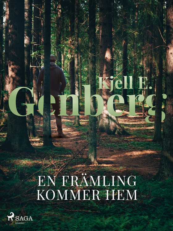 En främling kommer hem (e-bok) av Kjell E. Genberg