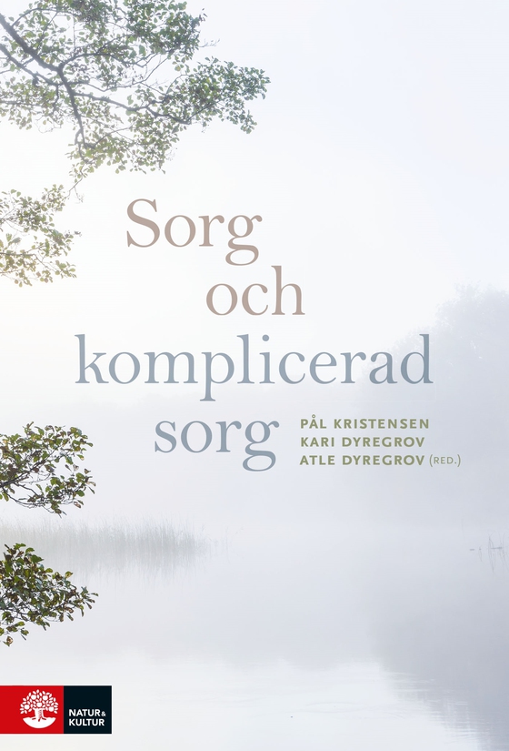 Sorg och komplicerad sorg