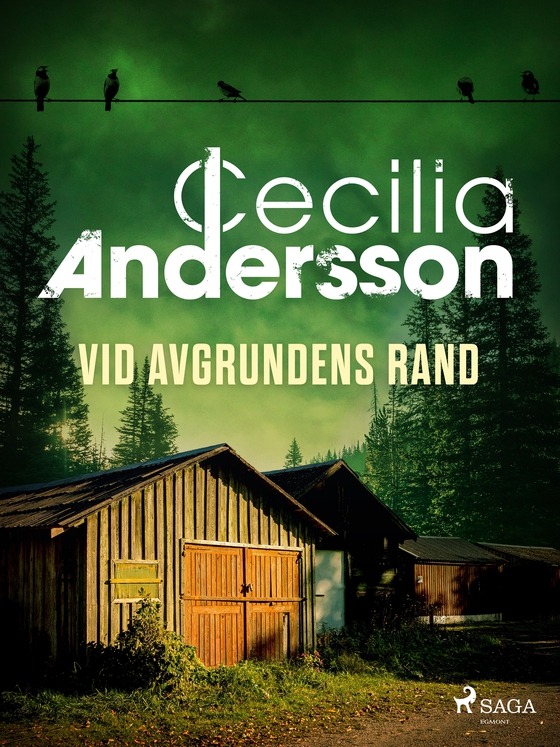 Vid avgrundens rand (e-bok) av Cecilia Andersson