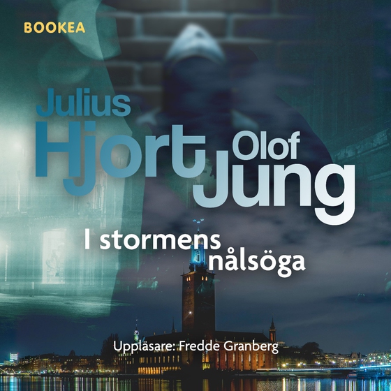 I stormens nålsöga