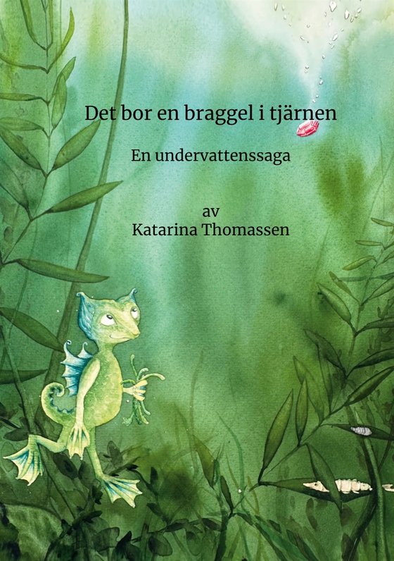 Det bor en braggel i tjärnen: en undervattenssaga