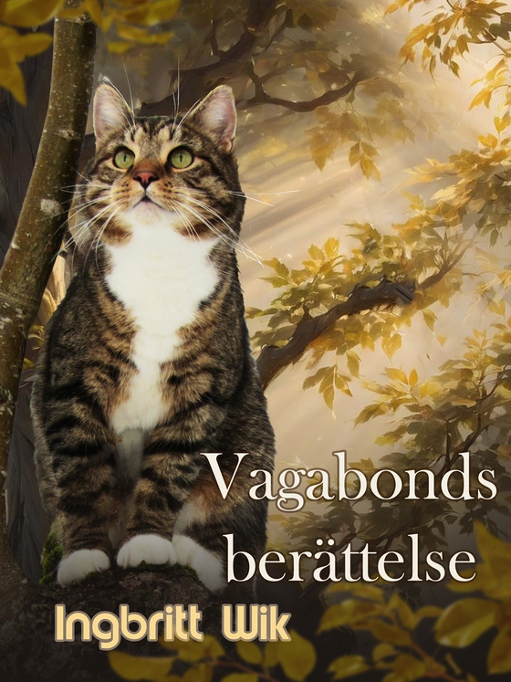 Vagabonds berättelse