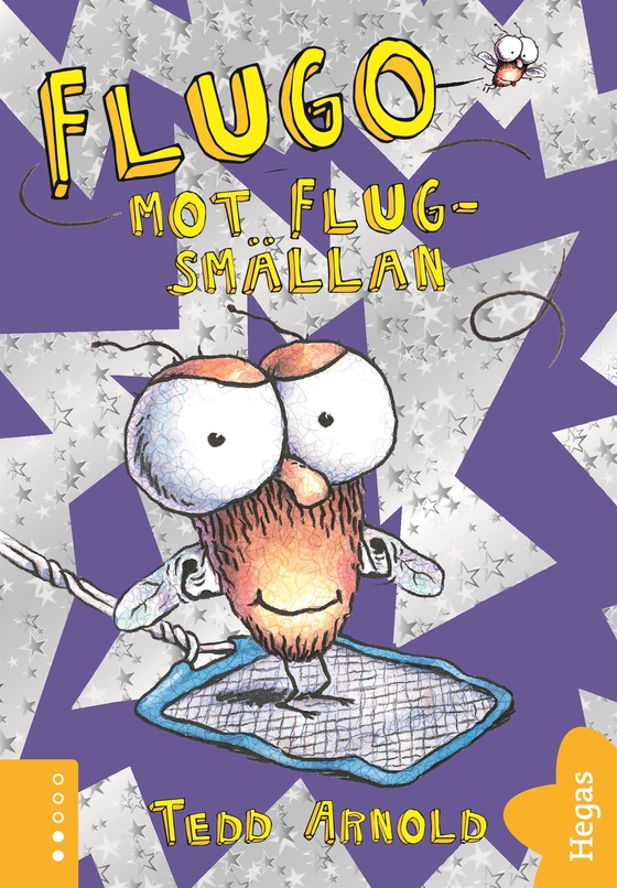 Flugo mot flugsmällan