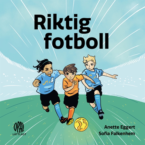 Riktig fotboll