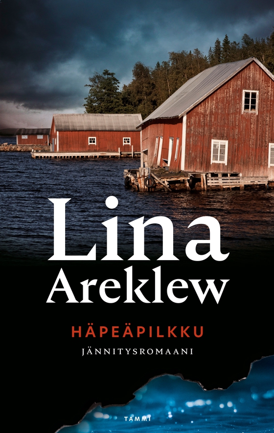 Häpeäpilkku