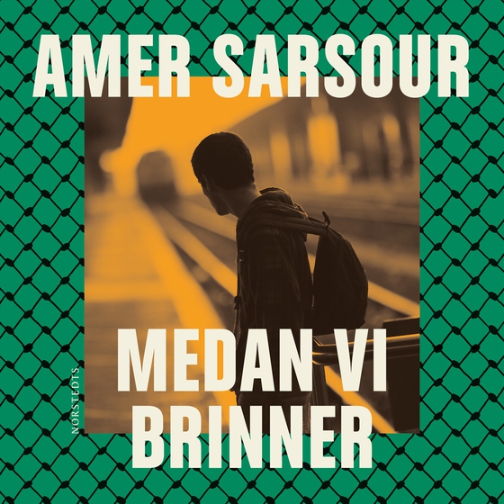 Medan vi brinner (ljudbok) av Amer Sarsour