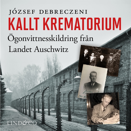 Kallt krematorium (ljudbok) av József Debreczeni