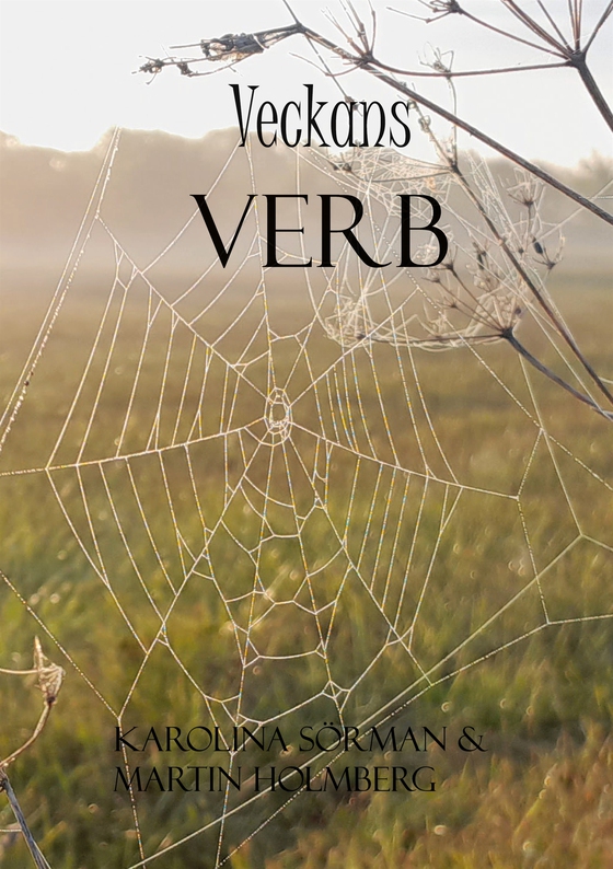 Veckans Verb: Din guide till ett rikare språk