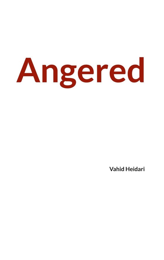 Angered: Vahid Heidari