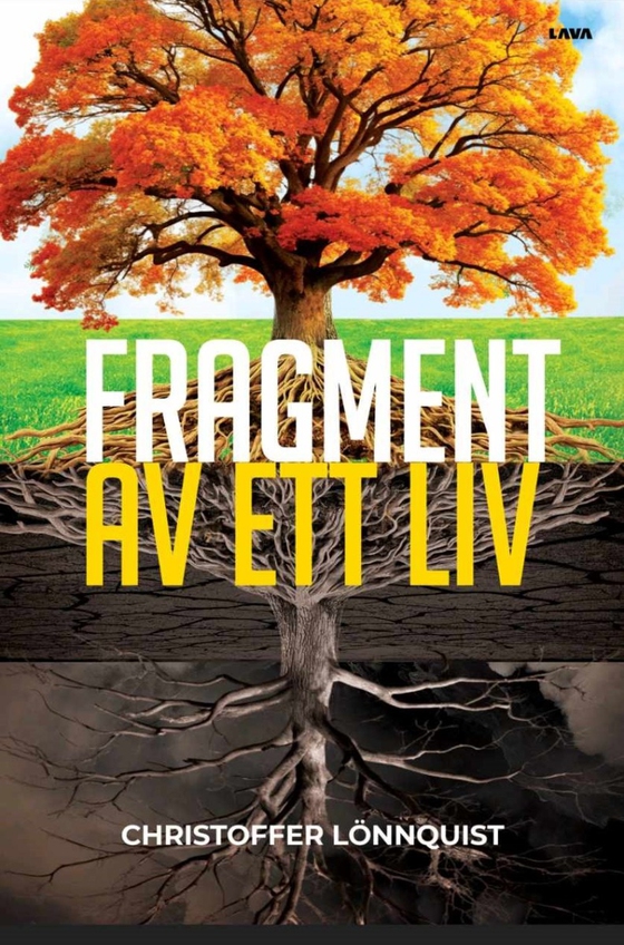 Fragment av ett liv
