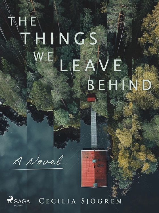 The Things We Leave Behind: a dual timeline, literary thriller set in Sweden
