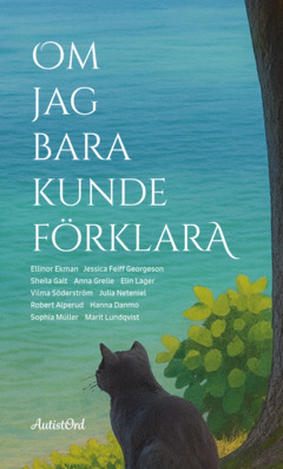 Om jag bara kunde förklara