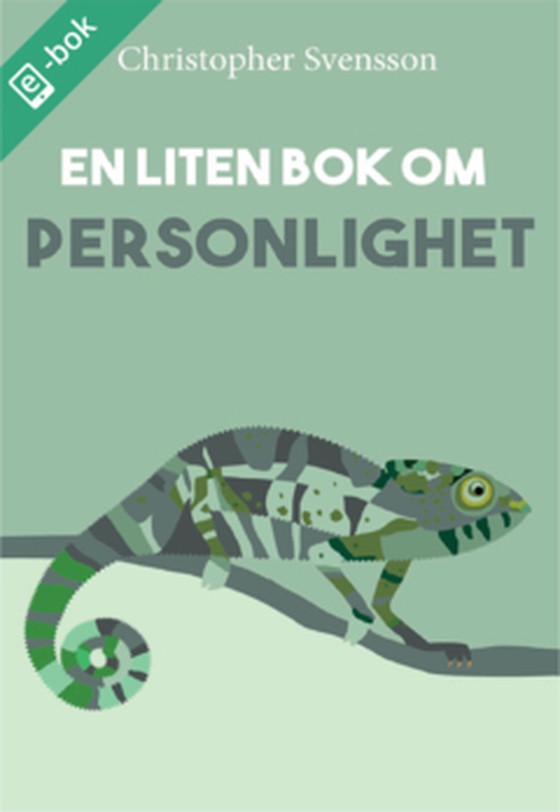 En liten bok om personlighet (e-bok) av Christopher Svensson