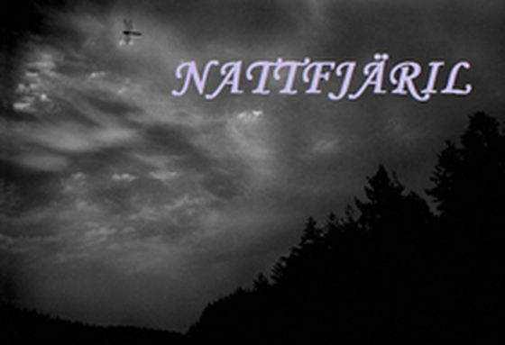 Nattfjäril (e-bok) av Christoffer Andersson