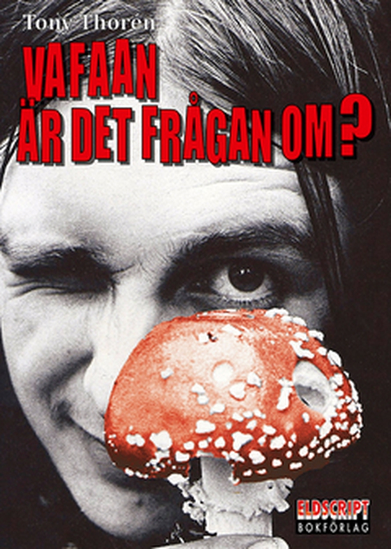 Va faan är det frågan om