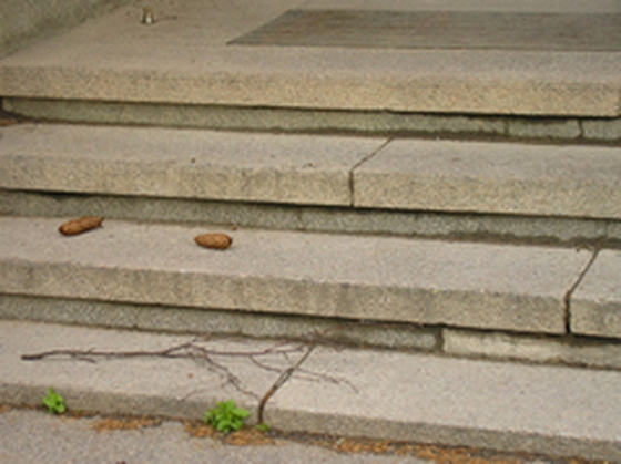 Hon verkar vara mycket ensam