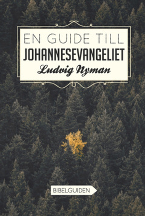 En guide till Johannesevangeliet - Bibelguiden