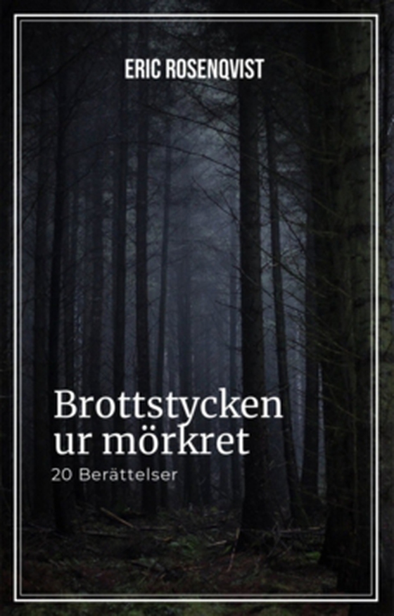 Brottstycken ur mörkret