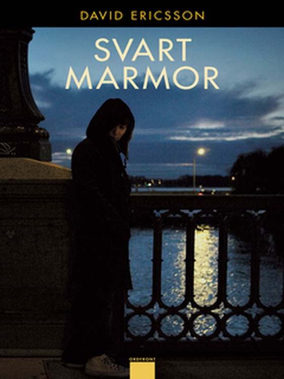 Svart marmor (e-bok) av David Ericsson
