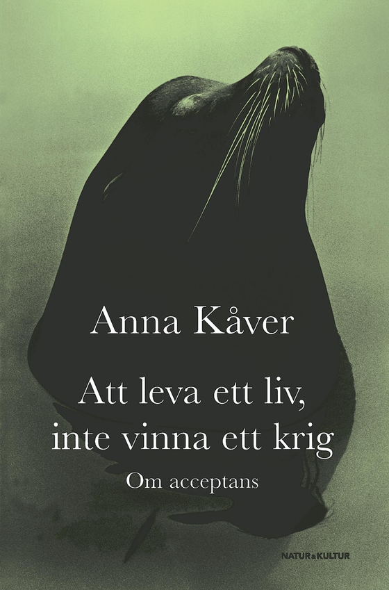 Att leva ett liv, inte vinna ett krig : om acceptans 