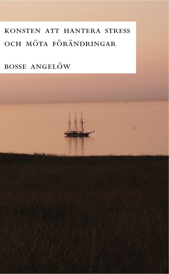 Konsten att hantera stress och möta förändringar