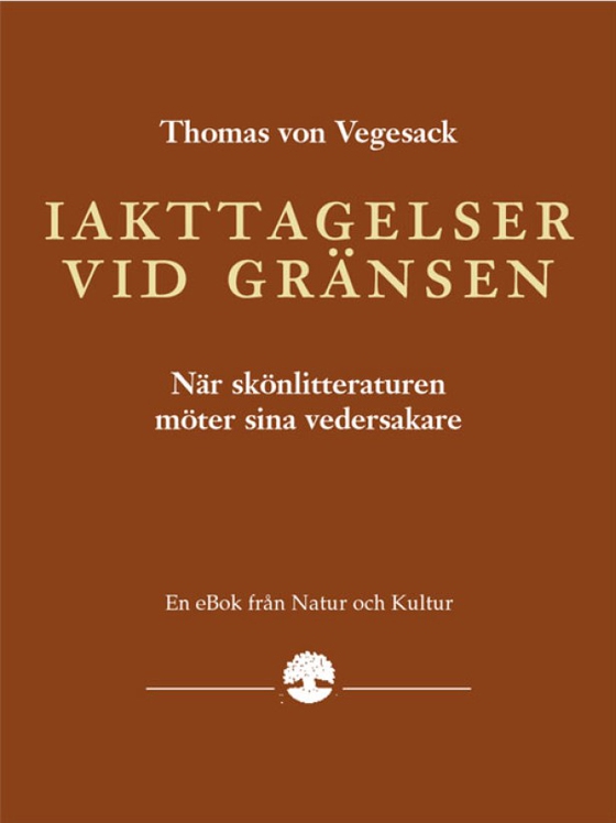 Iakttagelser vid gränsen