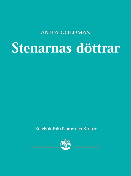 Stenarnas döttrar (e-bok) av Anita Goldman