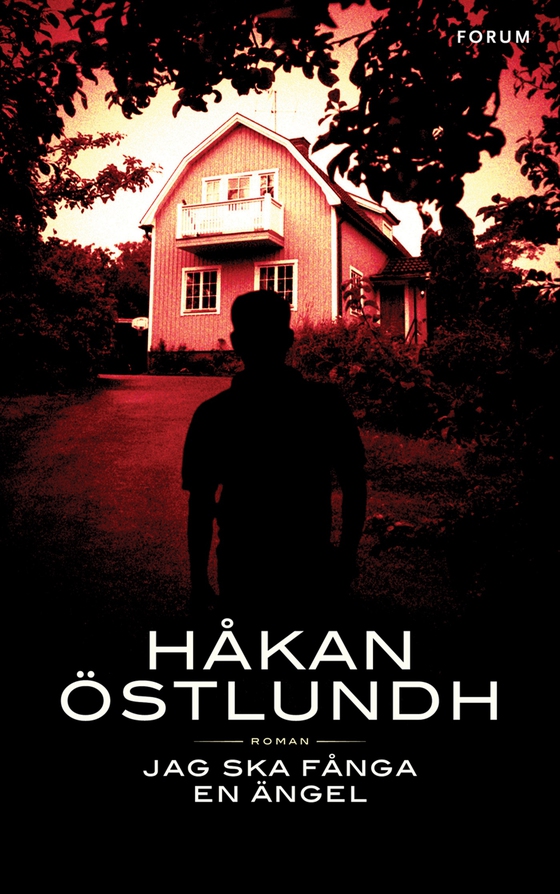 Jag ska fånga en ängel (e-bok) av Håkan Östlundh
