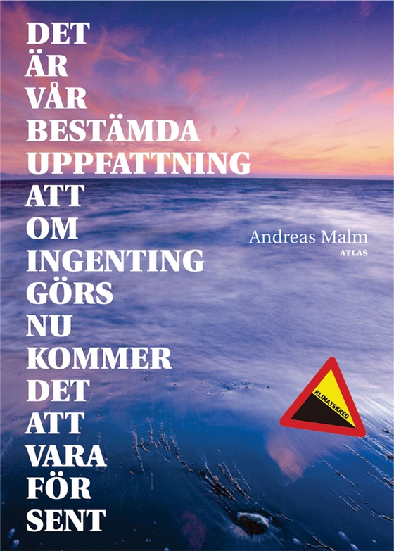 Det är vår bestämda uppfattning att om ingenting görs nu kommer det att vara för sent