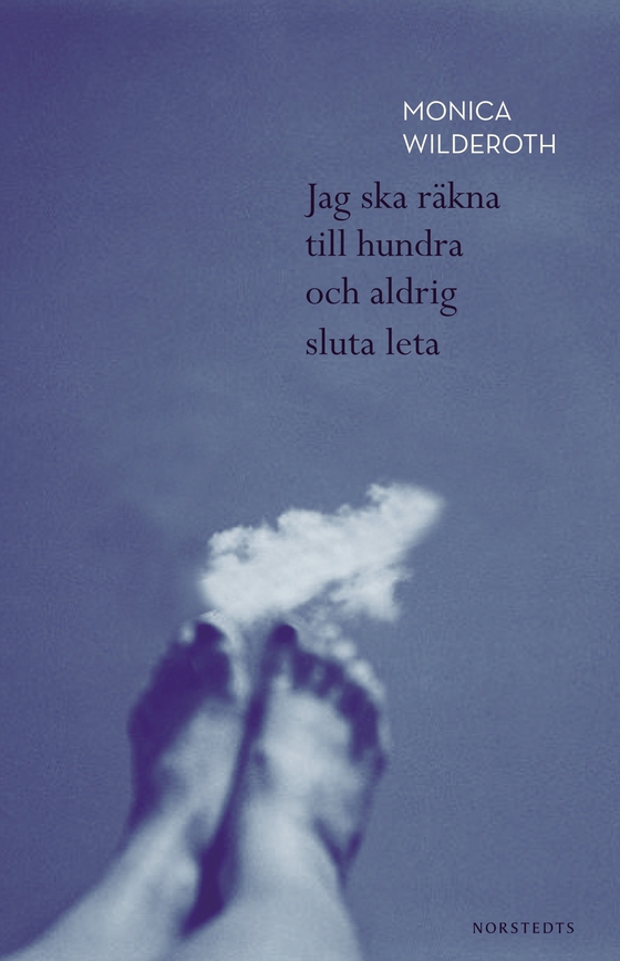 Jag ska räkna till hundra och aldrig sluta (e-bok) av Monica Wilderoth