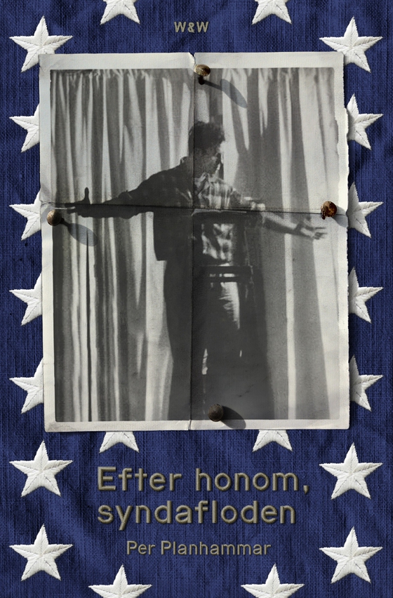 Efter honom, syndafloden (e-bok) av Per Planhammar