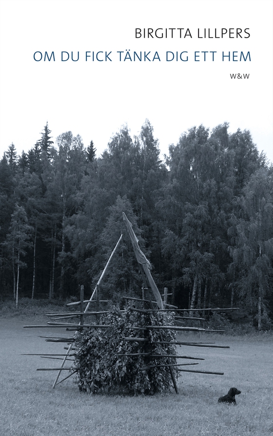 Om du fick tänka dig ett hem (e-bok) av Birgitta Lillpers