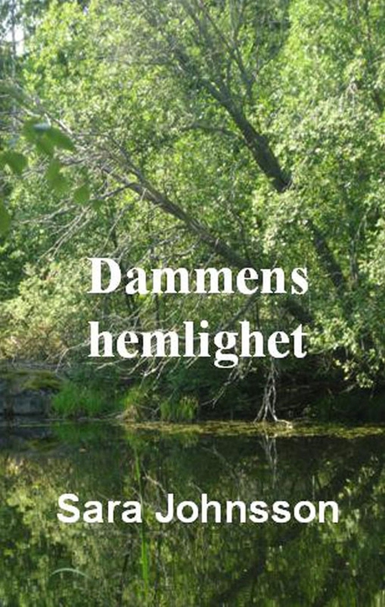 Dammens hemlighet (e-bok) av Sara Johnsson