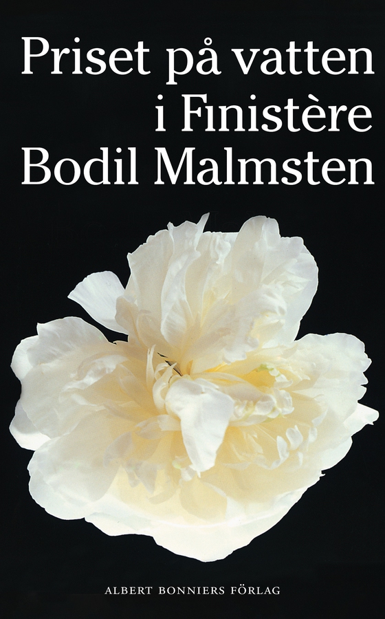Priset på vatten i Finistère (e-bok) av Bodil Malmsten