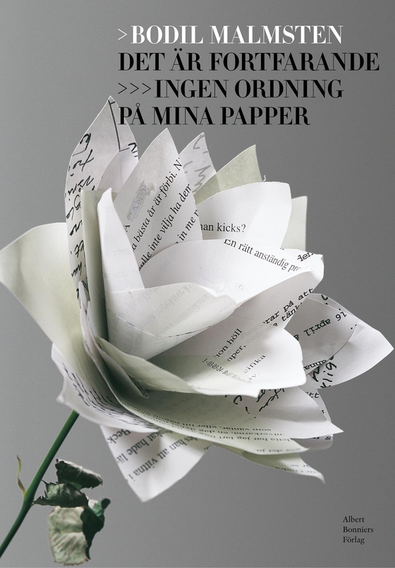 Det är fortfarande ingen ordning på mina papper (e-bok) av Bodil Malmsten