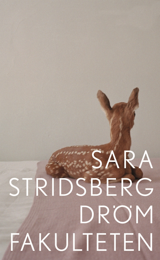 Drömfakulteten : - tillägg till sexualteorin (e-bok) av Sara Stridsberg