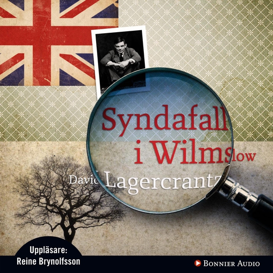 Syndafall i Wilmslow (ljudbok) av David Lagercrantz