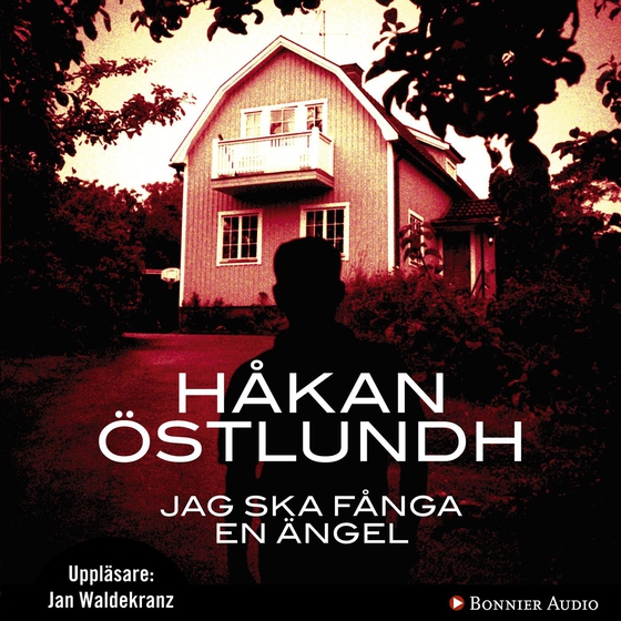 Jag ska fånga en ängel (ljudbok) av Håkan Östlundh