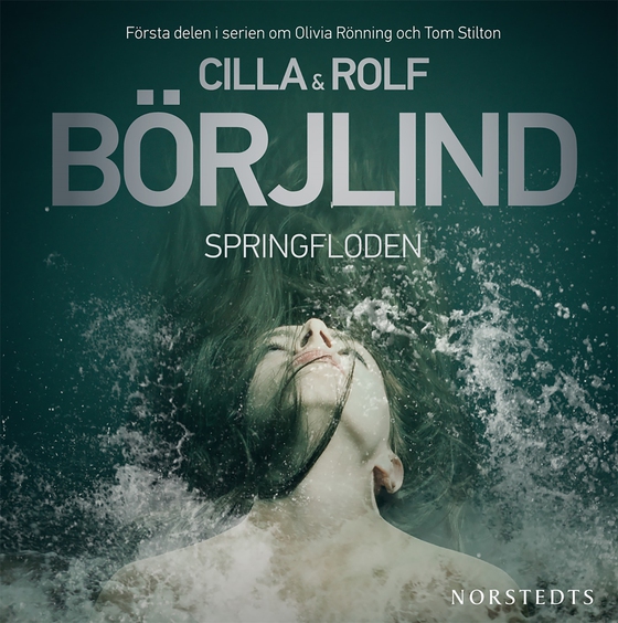 Springfloden (ljudbok) av Rolf Börjlind