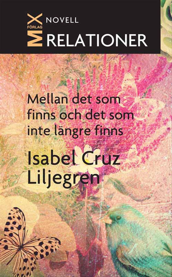 Mellan det som finns och det som inte längre finns (e-bok) av Isabel Cruz Liljegren