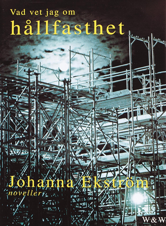 Vad vet jag om hållfasthet (e-bok) av Johanna Ekström