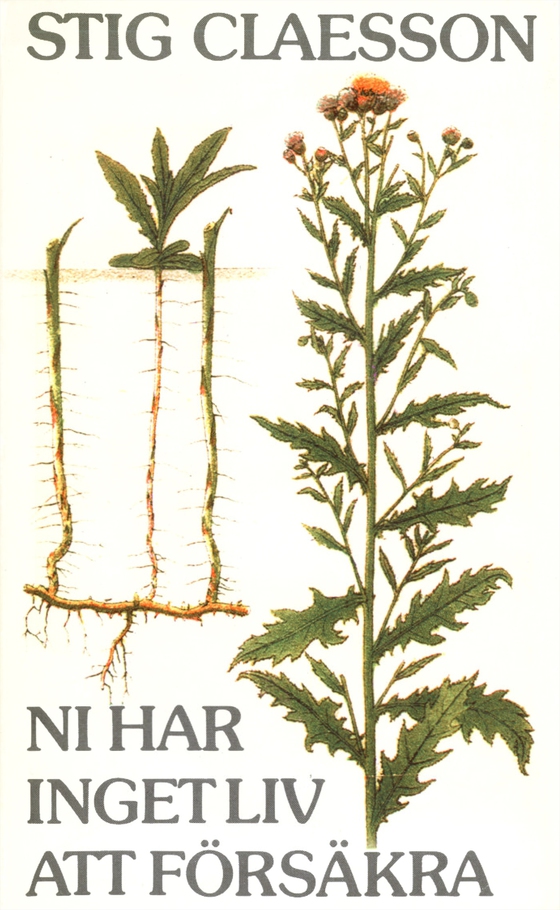 Ni har inget liv att försäkra (e-bok) av Stig Claesson