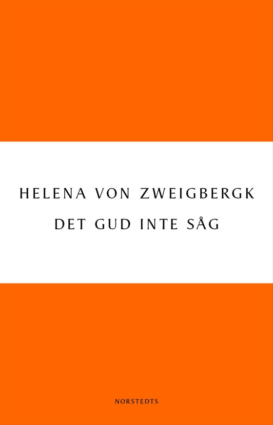 Det Gud inte såg (e-bok) av Helena von Zweigbergk