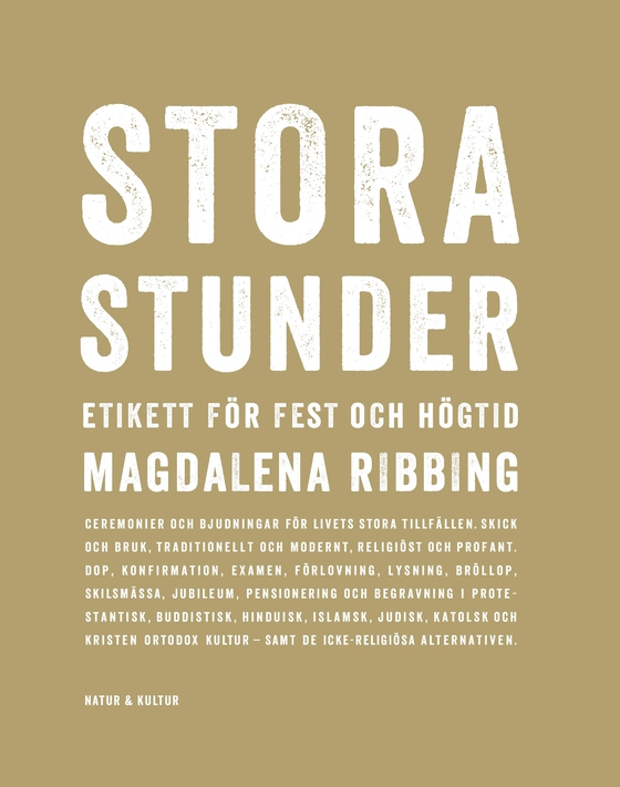 Stora stunder (e-bok) av Magdalena Ribbing